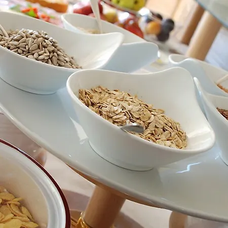 酒店 Alegra 利维尼奥